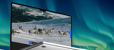 Корпоративное приложение (Internal App)